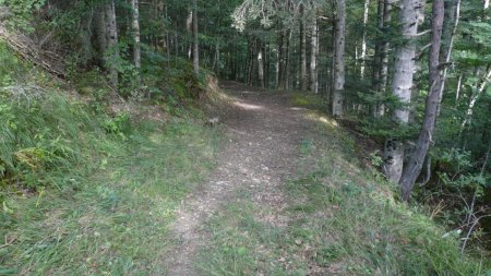 Du Col de Papavet, regard arrière sur notre arrivée.