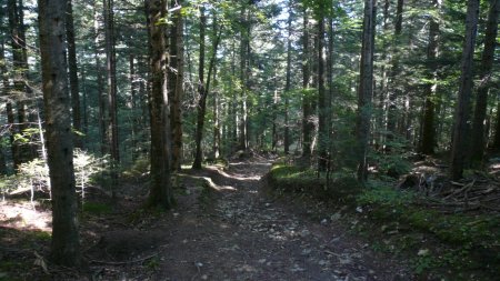 Descente du Pas de l’Ane.