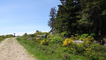 Panère, site du Gnaorou.