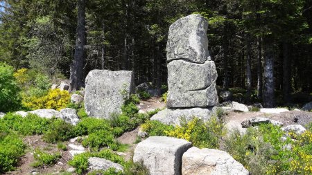 Les Menhirs de Gimel.