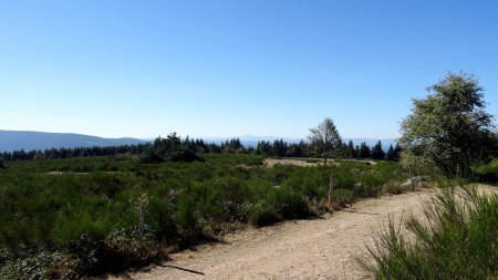 Vers le mont Mézenc.