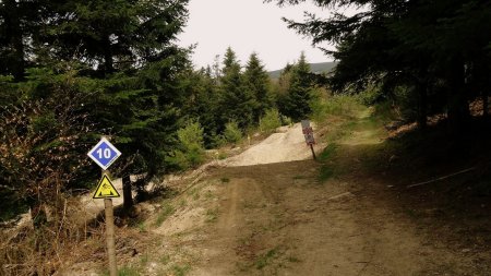  Taillis de Montchervet, croisement avec des pistes de descente VTT.