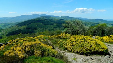 Mont Monnet