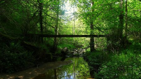 Passerelle de l’Écolèze.