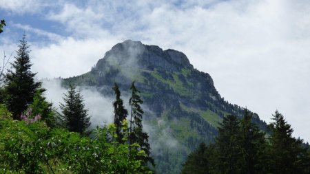 A l’approche du «Carrefour du Vargnoz», zoom sur l’antécime nord-est de la Petite Sambuy. Un bien beau profil, sublimé par un brouillard diffus du plus bel effet !