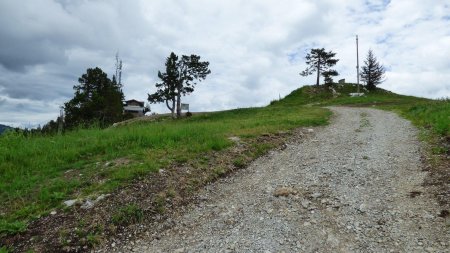 On arrive au sommet de la station, terminus du télésiège. Le parcours continue à droite, juste avant la butte avec ses 2 tables d’orientation (on en voit une et l’autre est cachée derrière le sapin de droite).