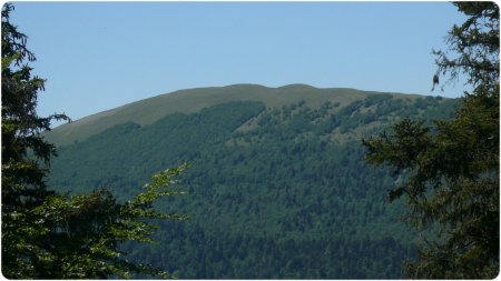 Sur la Route Forestière de Béguerre. Regard sur le But de Nève.