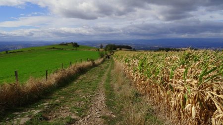 Courte éclaircie à la descente