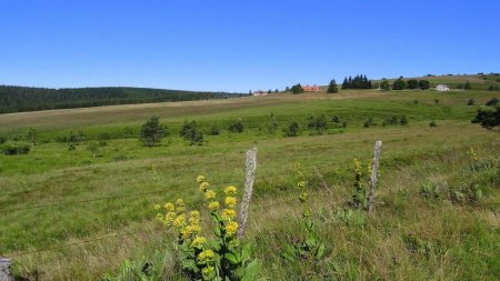 Après le passage forestier, les plateaux.