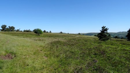 Début du plateau.