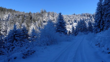 Vers le ravin du Gier.