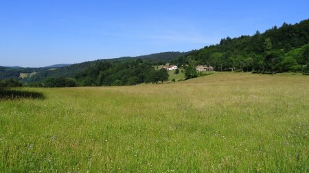 Prairies de Saint-Sabin.