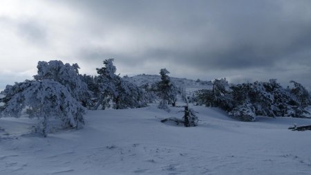 Crêt de la Perdrix.