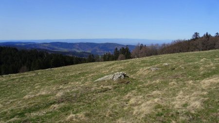 Vers les monts du Forez.