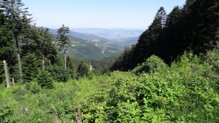 Vallée du Gier et monts du Lyonnais.