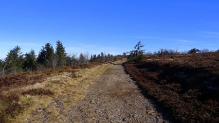 Sur la Route des crêtes.