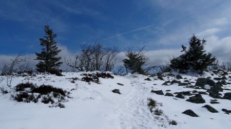 Sur la crête.