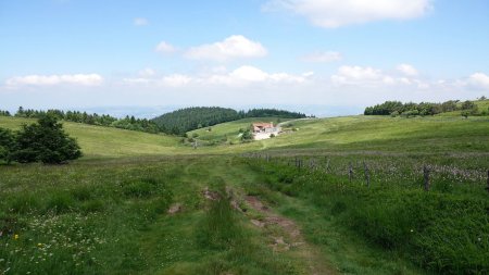 Descente sur la Jasserie