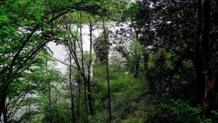 Dans les gorges