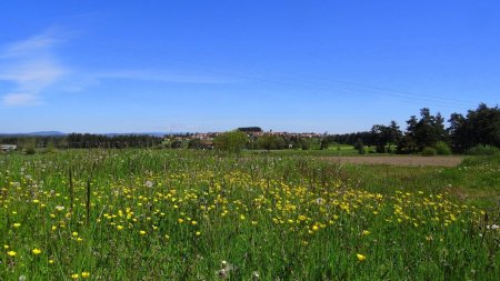 Site du Montat.