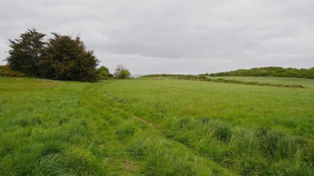 Le sentier traverse des prés avant de rejoindre la rue des Nouettes.