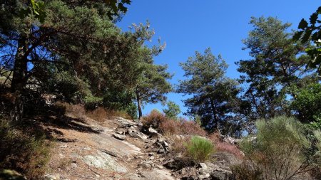 Arrivée au site de Saint-Martin.