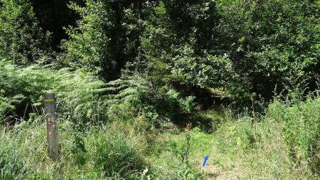 Départ de sentier peu visible à la traversée de la D235.