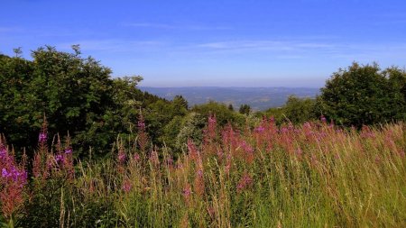 Vers la vallée de la Dore.