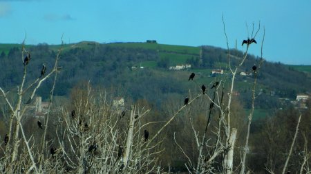 Étang nord de Prépieux