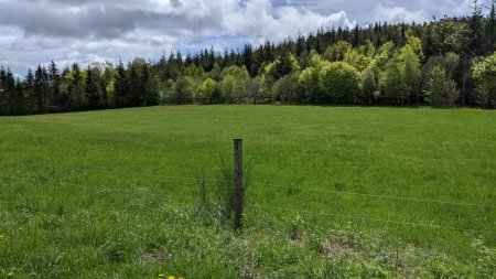 Clairière à la croix de Saint-Sabin.