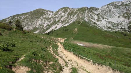 Descente au col de la Sure.