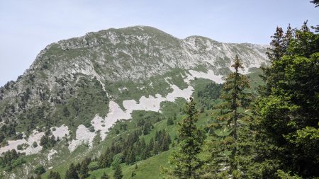  	Grande Sure vue du goulet.