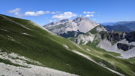 Verdure et montagne de Bure.