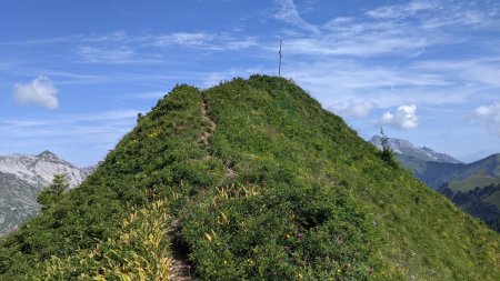 La Pointe de la Fougère (1849m).