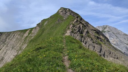 Derniers ressauts contournés par la sente pour atteindre le point 2080 de l’arête de l’Arpètte.