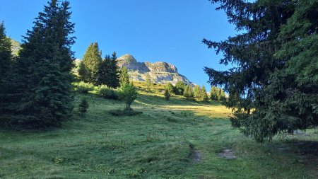 Sortie de la forêt : vue sur Chapeau Gaspard et Aiguille d’Aujon 