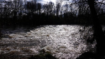 La Loire aux Deux Becs