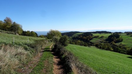 Retour sur l’itinéraire balisé.