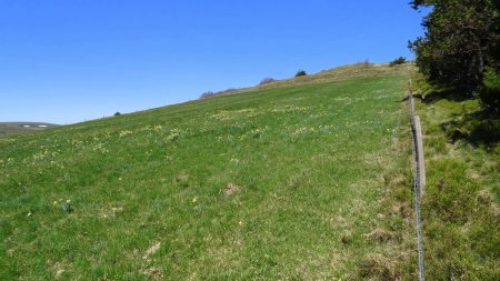 Montée pédestre à Roche Gourgon.