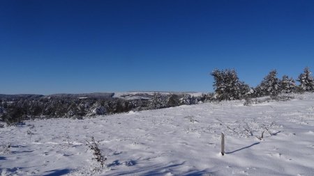 Col de Baracuchet.