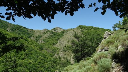 Vallon de descente.