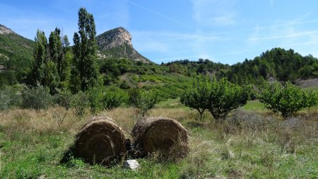 Retour dans la vallée.