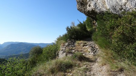 Sur le sentier.