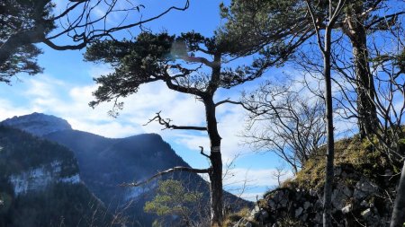 Vue sur la Grande Sure