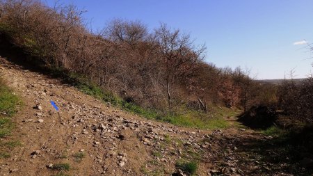 Prendre le raide sentier à gauche.