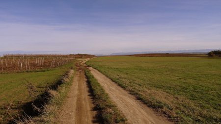 Traversée du plateau.