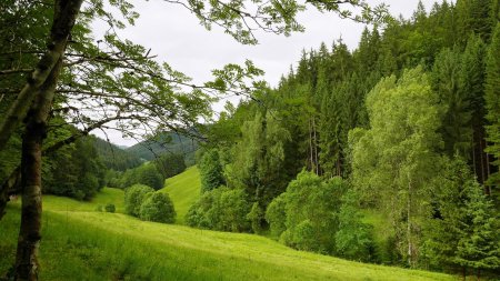 Descente du Reichenbachtal.