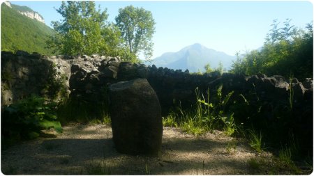 Ruines de la Ferme des Visons.