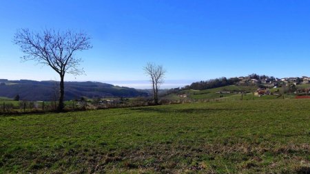 Vers les brouillards du Forez