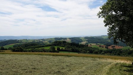 Descente du crêt Malherbe